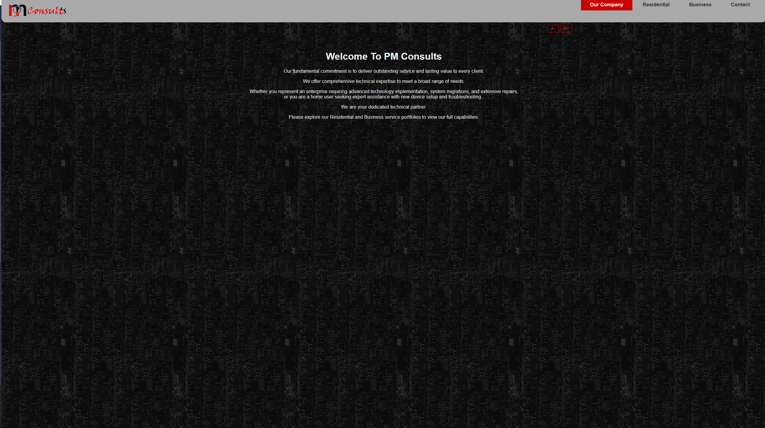 PM Consults Website Screenshot