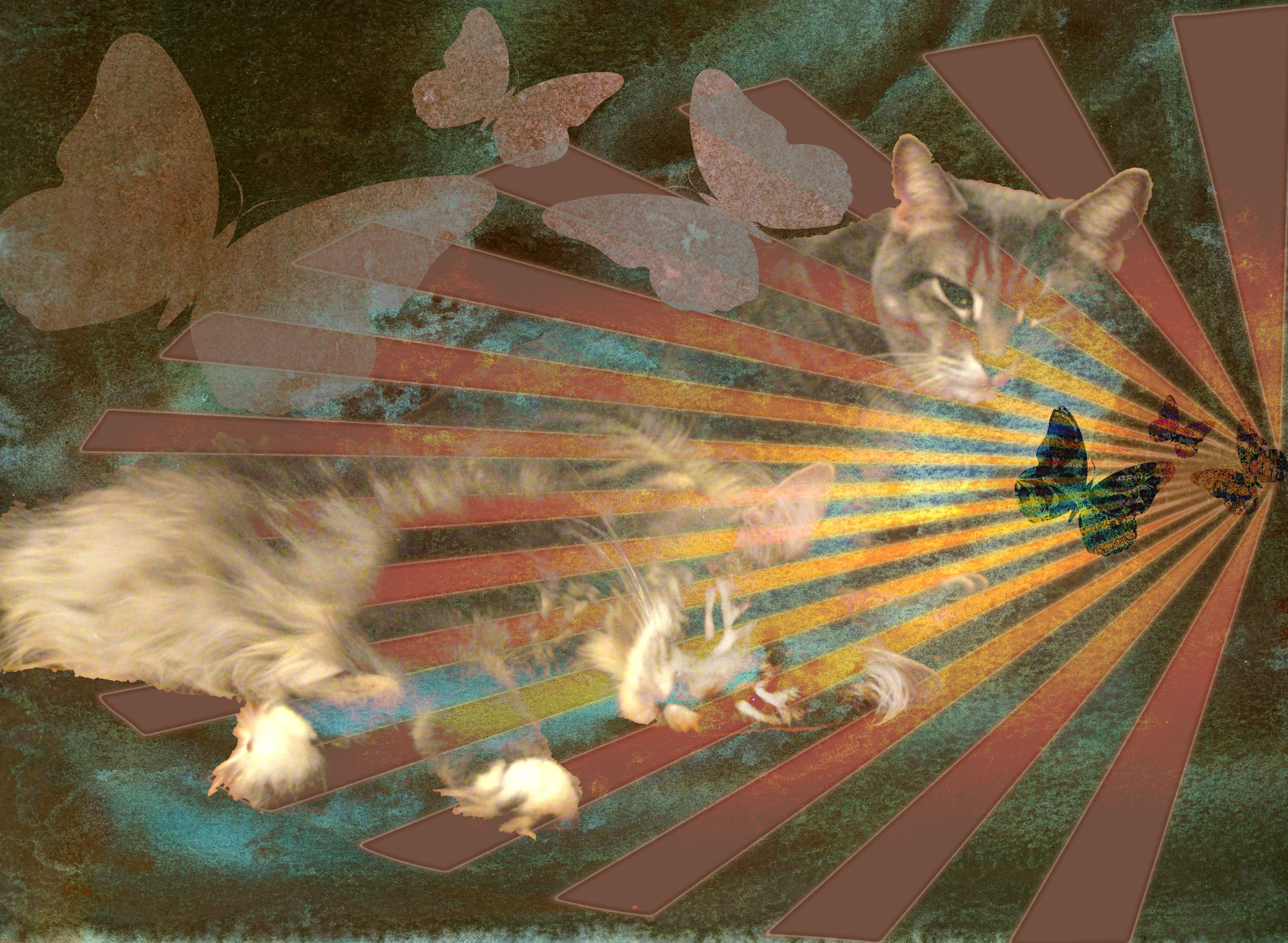 Animal 1: Majestic Cats